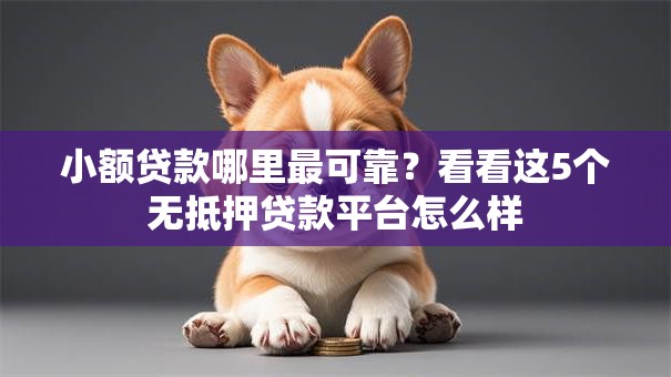 小额贷款哪里最可靠？看看这5个无抵押贷款平台怎么样