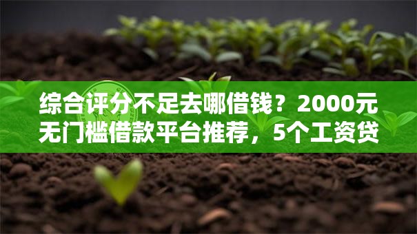 综合评分不足去哪借钱？2000元无门槛借款平台推荐，5个工资贷款平台盘点