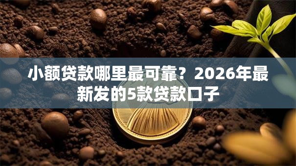 小额贷款哪里最可靠?2026年最新发的5款贷款口子 小额贷款哪里最可靠?2026年最新发的5款贷款口子