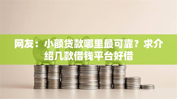 网友：小额贷款哪里最可靠？求介绍几款借钱平台好借
