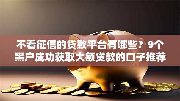 不看征信的贷款平台有哪些？9个黑户成功获取大额贷款的口子推荐给你