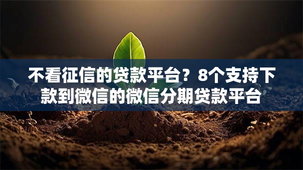 不看征信的贷款平台?8个支持下款到微信的微信分期贷款平台 不看征信的贷款平台?8个支持下款到微信的微信分期贷款平台
