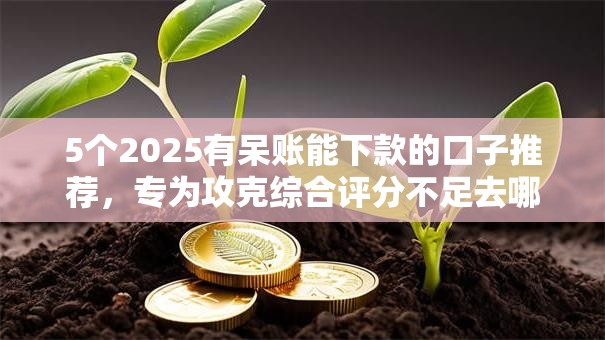 5个2025有呆账能下款的口子推荐，专为攻克综合评分不足去哪借钱难题