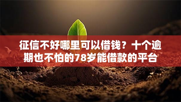 征信不好哪里可以借钱？十个逾期也不怕的78岁能借款的平台