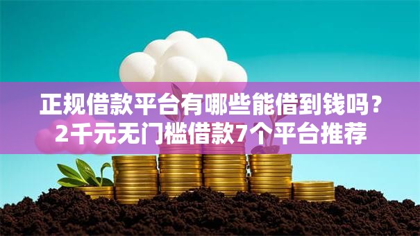 正规借款平台有哪些能借到钱吗？2千元无门槛借款7个平台推荐