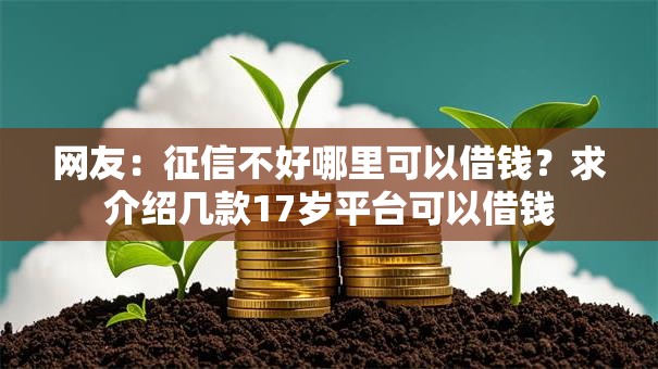 网友:征信不好哪里可以借钱?求介绍几款17岁平台可以借钱 网友:征信不好哪里可以借钱?求介绍几款17岁平台可以借钱