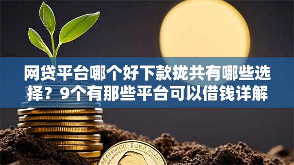 网贷平台哪个好下款拢共有哪些选择?9个有那些平台可以借钱详解 网贷平台哪个好下款拢共有哪些选择?9个有那些平台可以借钱详解