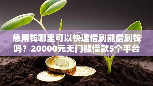 急用钱哪里可以快速借到能借到钱吗?20000元无门槛借款5个平台推荐 急用钱哪里可以快速借到能借到钱吗?20000元无门槛借款5个平台推荐