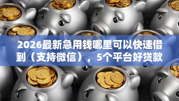 2026最新急用钱哪里可以快速借到(支持微信),5个平台好贷款无私分享 2026最新急用钱哪里可以快速借到(支持微信),5个平台好贷款无私分享