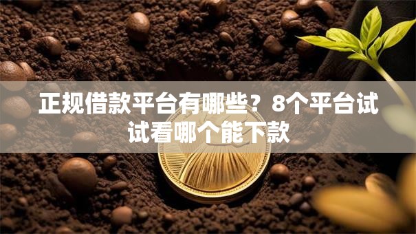 正规借款平台有哪些？8个平台试试看哪个能下款