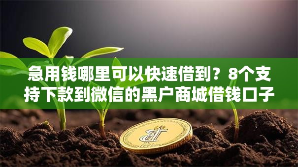 急用钱哪里可以快速借到?8个支持下款到微信的黑户商城借钱口子 急用钱哪里可以快速借到?8个支持下款到微信的黑户商城借钱口子