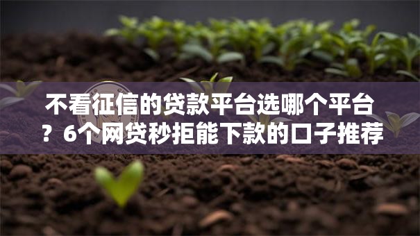 不看征信的贷款平台选哪个平台?6个网贷秒拒能下款的口子推荐 不看征信的贷款平台选哪个平台?6个网贷秒拒能下款的口子推荐