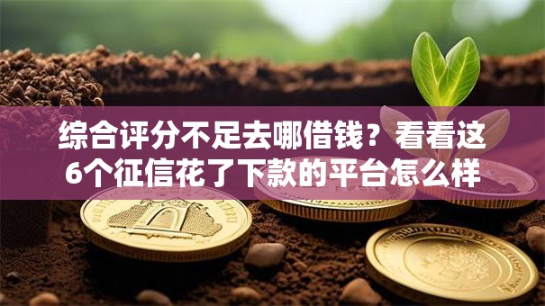综合评分不足去哪借钱?看看这6个征信花了下款的平台怎么样 综合评分不足去哪借钱?看看这6个征信花了下款的平台怎么样