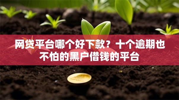 网贷平台哪个好下款?十个逾期也不怕的黑户借钱的平台 网贷平台哪个好下款?十个逾期也不怕的黑户借钱的平台