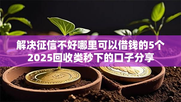 解决征信不好哪里可以借钱的5个2025回收类秒下的口子分享 解决征信不好哪里可以借钱的5个2025回收类秒下的口子分享