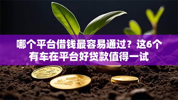 哪个平台借钱最容易通过？这6个有车在平台好贷款值得一试