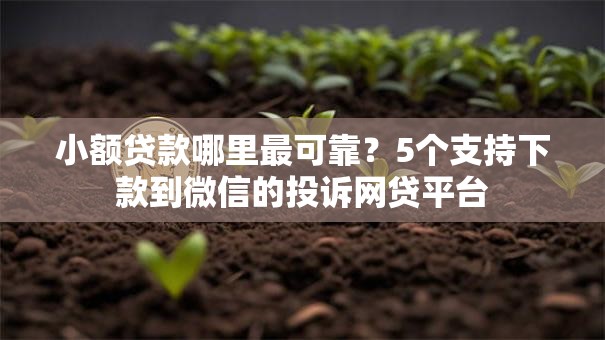 小额贷款哪里最可靠？5个支持下款到微信的投诉网贷平台