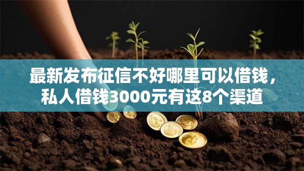 最新发布征信不好哪里可以借钱，私人借钱3000元有这8个渠道