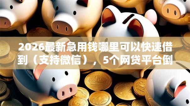 2026最新急用钱哪里可以快速借到（支持微信），5个网贷平台倒闭名单无私分享