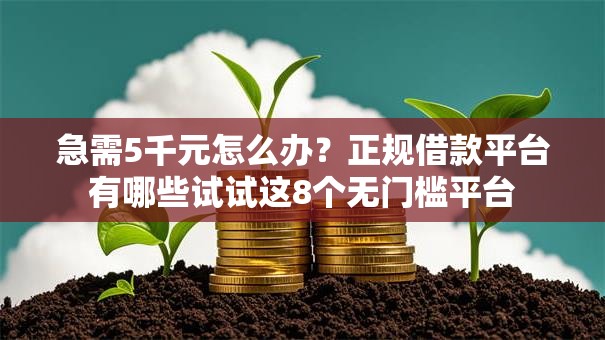 急需5千元怎么办？正规借款平台有哪些试试这8个无门槛平台