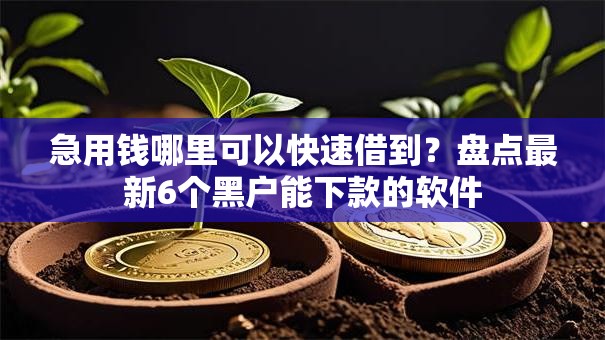 急用钱哪里可以快速借到？盘点最新6个黑户能下款的软件