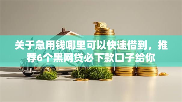 关于急用钱哪里可以快速借到，推荐6个黑网贷必下款口子给你