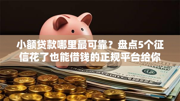 小额贷款哪里最可靠?盘点5个征信花了也能借钱的正规平台给你参考 小额贷款哪里最可靠?盘点5个征信花了也能借钱的正规平台给你参考