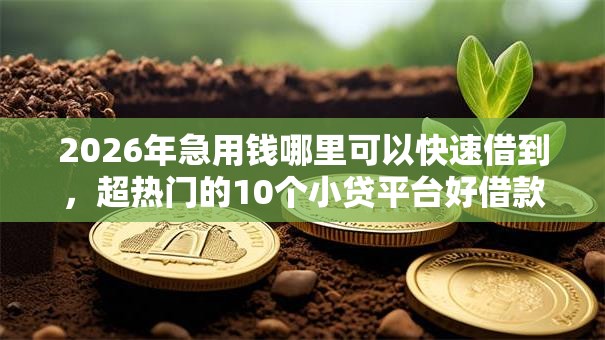 2026年急用钱哪里可以快速借到，超热门的10个小贷平台好借款推荐