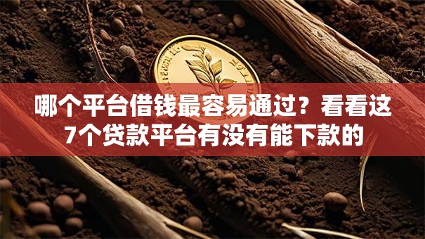 哪个平台借钱最容易通过？看看这7个贷款平台有没有能下款的