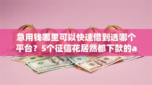急用钱哪里可以快速借到选哪个平台?5个征信花居然都下款的app推荐 急用钱哪里可以快速借到选哪个平台?5个征信花居然都下款的app推荐