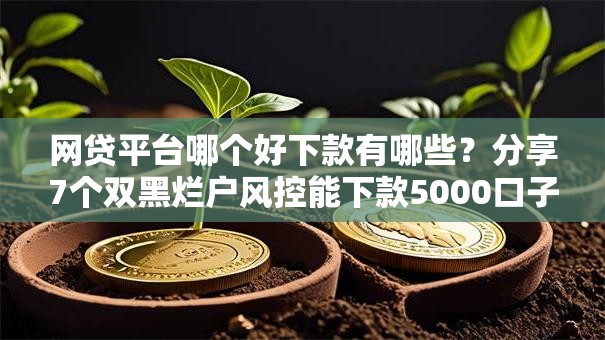 网贷平台哪个好下款有哪些?分享7个双黑烂户风控能下款5000口子 网贷平台哪个好下款有哪些?分享7个双黑烂户风控能下款5000口子