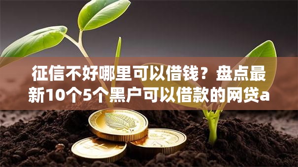 征信不好哪里可以借钱?盘点最新10个5个黑户可以借款的网贷app 征信不好哪里可以借钱?盘点最新10个5个黑户可以借款的网贷app