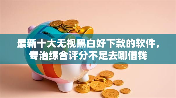 最新十大无视黑白好下款的软件，专治综合评分不足去哪借钱