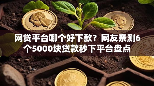 网贷平台哪个好下款?网友亲测6个5000块贷款秒下平台盘点 网贷平台哪个好下款?网友亲测6个5000块贷款秒下平台盘点
