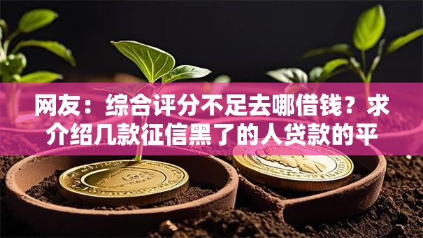 网友：综合评分不足去哪借钱？求介绍几款征信黑了的人贷款的平台