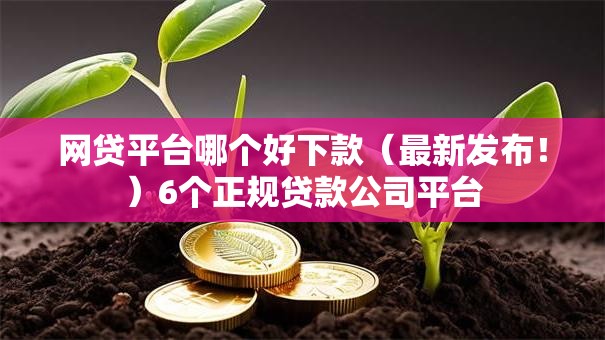 网贷平台哪个好下款（最新发布！）6个正规贷款公司平台