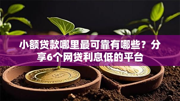 小额贷款哪里最可靠有哪些?分享6个网贷利息低的平台 小额贷款哪里最可靠有哪些?分享6个网贷利息低的平台