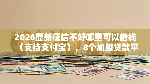 2026最新征信不好哪里可以借钱（支持支付宝），8个加盟贷款平台做代理无私分享