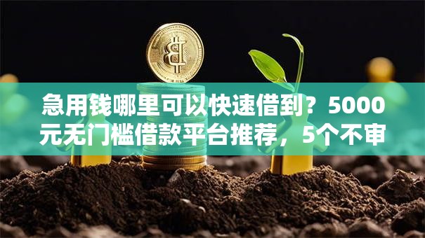 急用钱哪里可以快速借到？5000元无门槛借款平台推荐，5个不审核夜间直接放款的网贷平台盘点