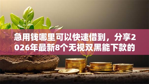急用钱哪里可以快速借到,分享2026年最新8个无视双黑能下款的口子 急用钱哪里可以快速借到,分享2026年最新8个无视双黑能下款的口子