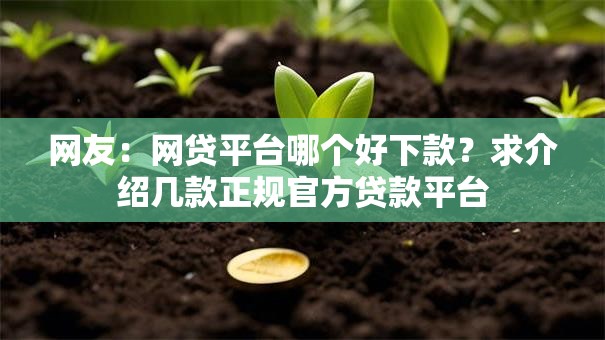 网友：网贷平台哪个好下款？求介绍几款正规官方贷款平台