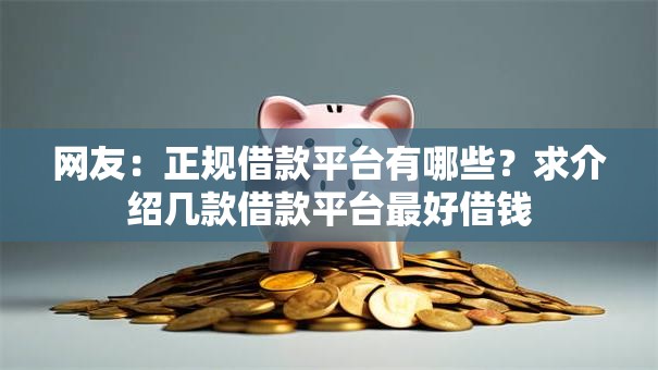 网友：正规借款平台有哪些？求介绍几款借款平台最好借钱