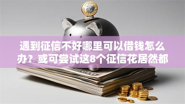 遇到征信不好哪里可以借钱怎么办?或可尝试这8个征信花居然都下款的软件 遇到征信不好哪里可以借钱怎么办?或可尝试这8个征信花居然都下款的软件