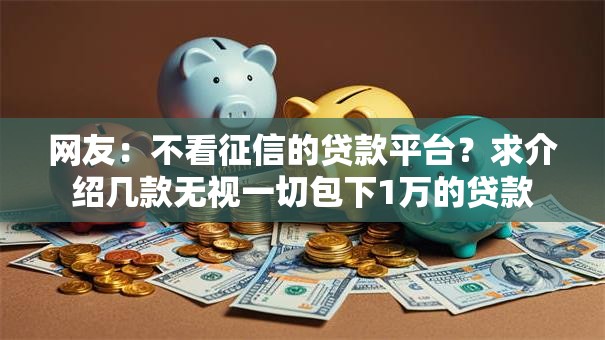 网友：不看征信的贷款平台？求介绍几款无视一切包下1万的贷款