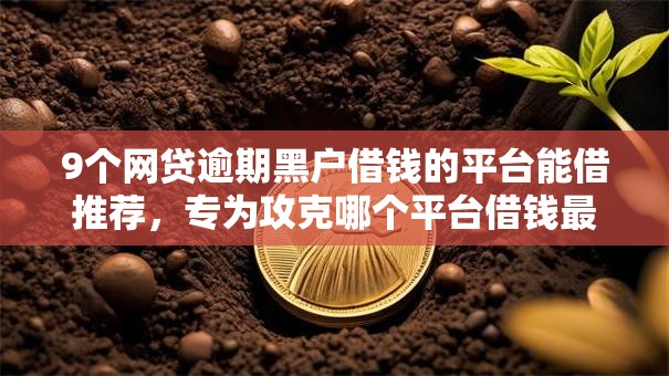 9个网贷逾期黑户借钱的平台能借推荐，专为攻克哪个平台借钱最容易通过难题