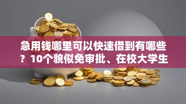 急用钱哪里可以快速借到有哪些?10个貌似免审批、在校大学生贷款平台合集 急用钱哪里可以快速借到有哪些?10个貌似免审批、在校大学生贷款平台合集