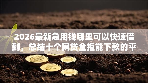 2026最新急用钱哪里可以快速借到,总结十个网贷全拒能下款的平台! 2026最新急用钱哪里可以快速借到,总结十个网贷全拒能下款的平台!