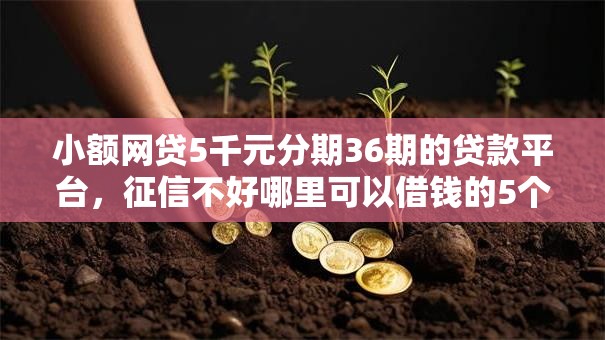 小额网贷5千元分期36期的贷款平台，征信不好哪里可以借钱的5个平台介绍