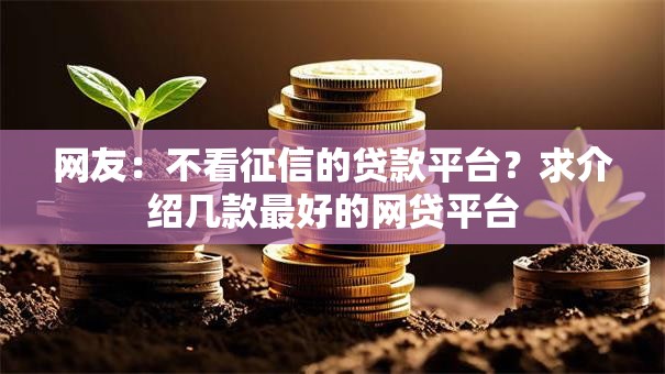 网友：不看征信的贷款平台？求介绍几款最好的网贷平台