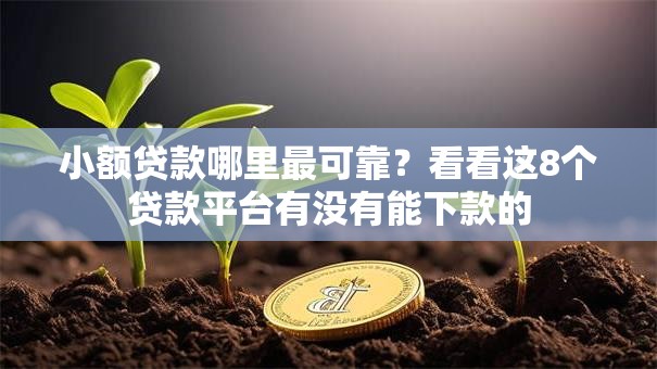 小额贷款哪里最可靠？看看这8个贷款平台有没有能下款的